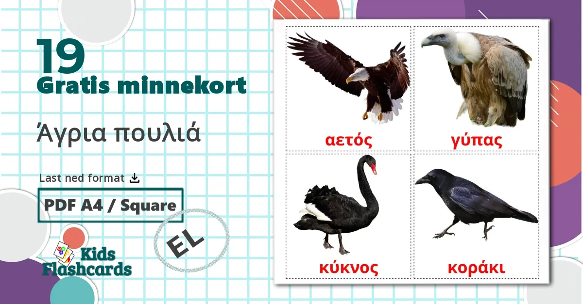 19 Imagiers Άγρια πουλιά