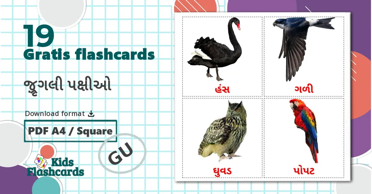 19 જંગલી પક્ષીઓ billedkort for børn
