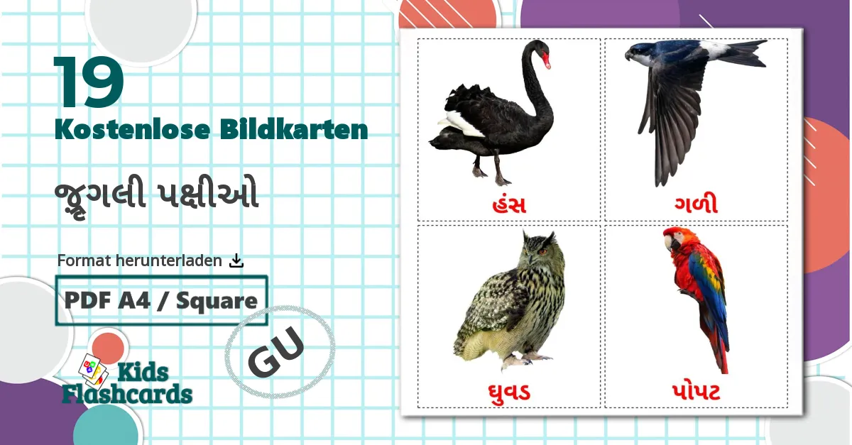 19 Bildkarten für જંગલી પક્ષીઓ