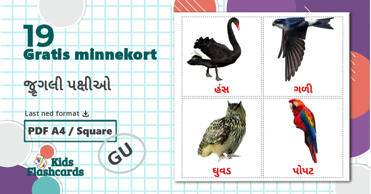 19 જંગલી પક્ષીઓ bildekort