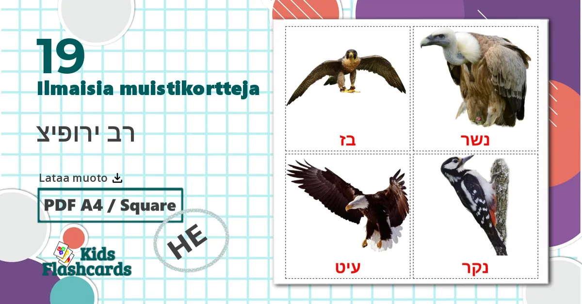 19 רב ירופיצ lasten kuvakortit