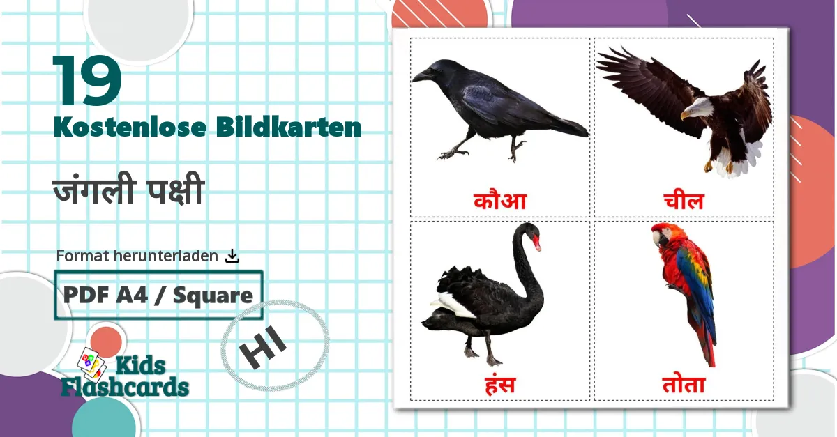 19 Bildkarten für जंगली पक्षी