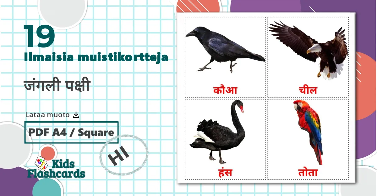 19 जंगली पक्षी lasten kuvakortit