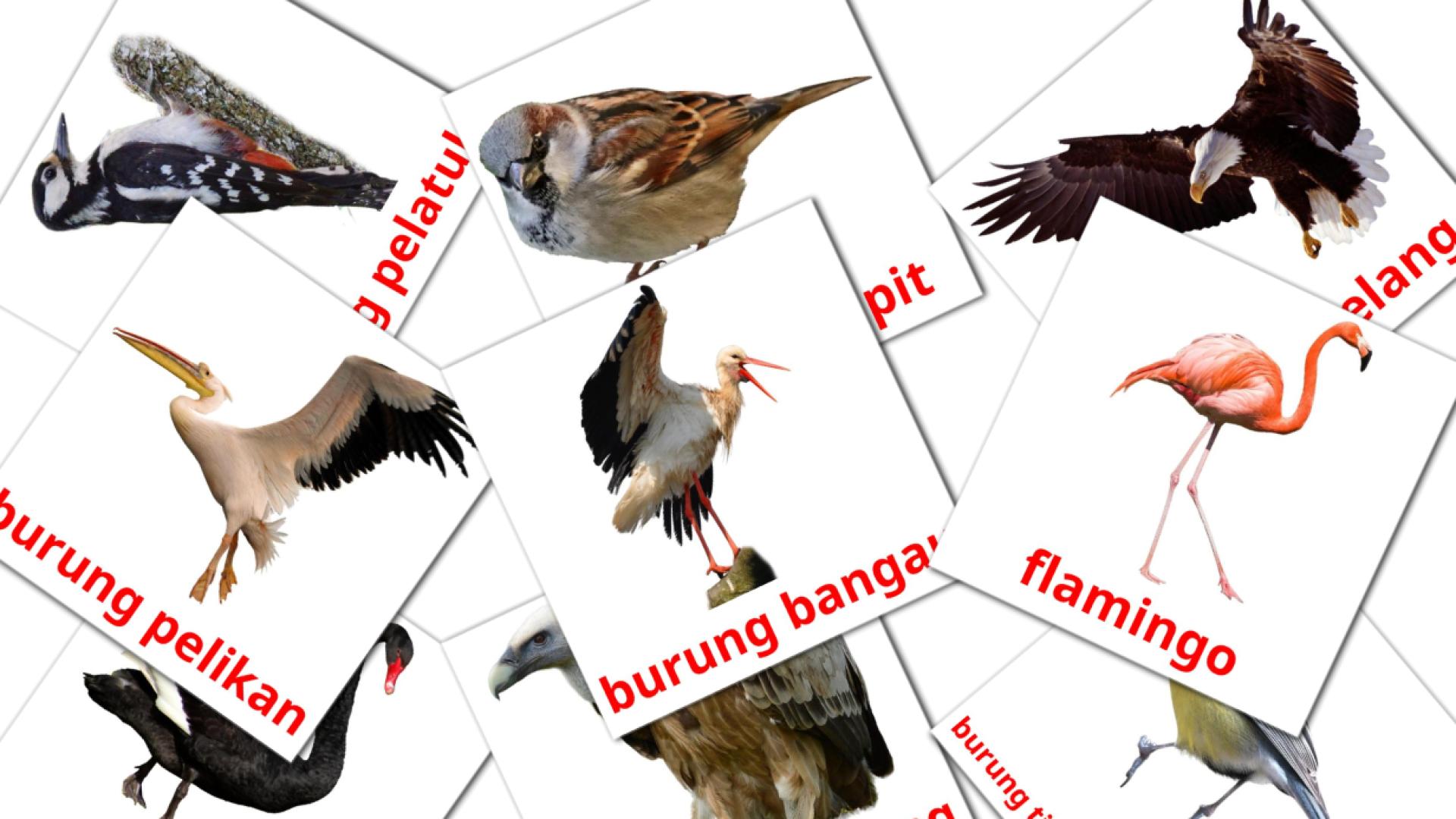Bildkarten für Burung liar