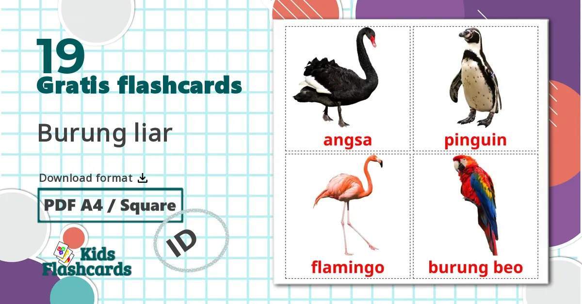 19 Burung liar billedkort for børn