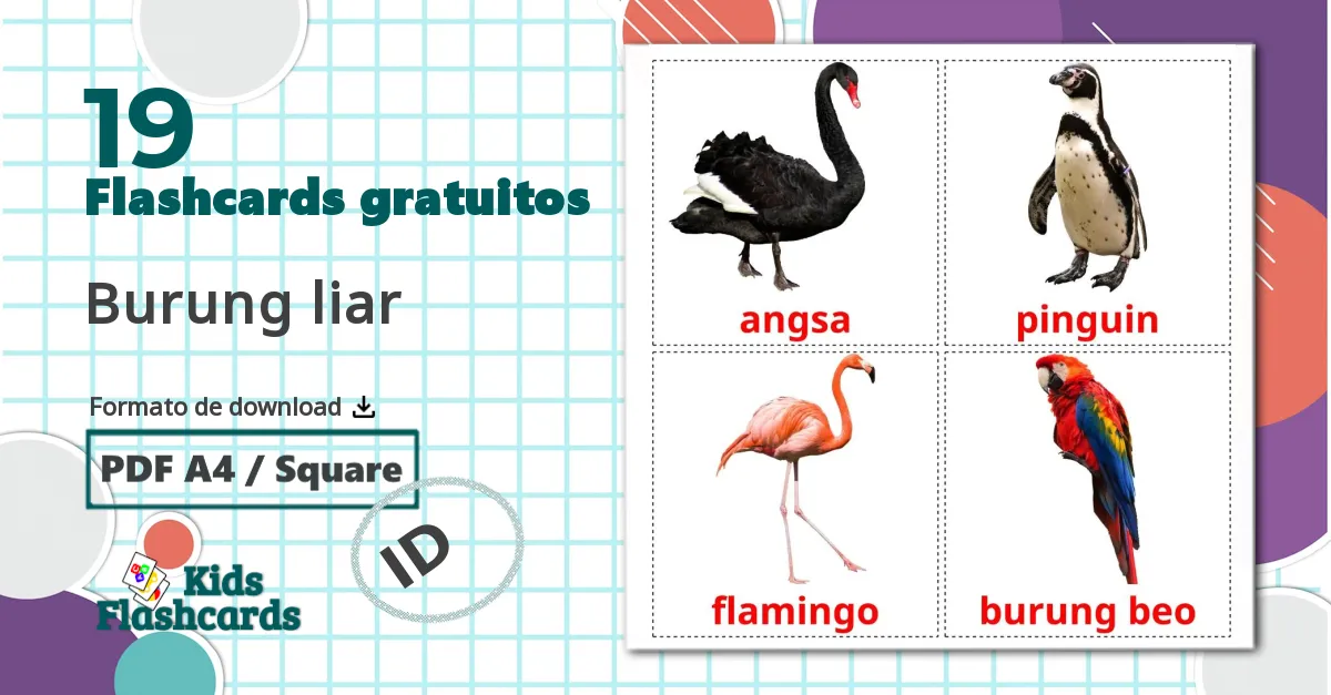 19 Flashcards de Burung liar