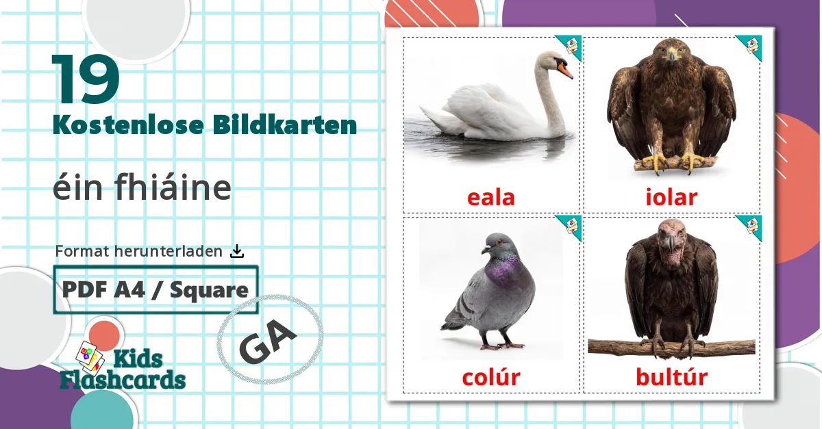 19 Bildkarten für Wildvögel