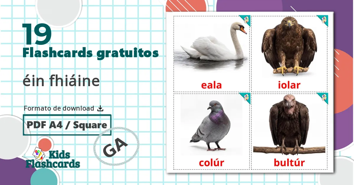19 Flashcards de Pássaros Selvagens
