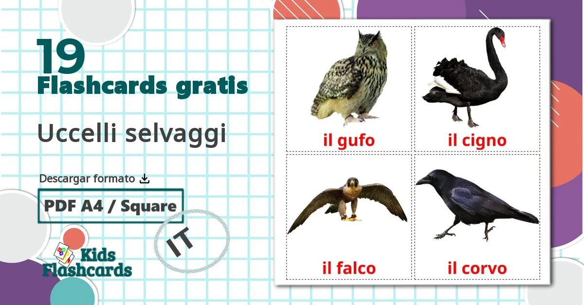 19 tarjetas didacticas de Pájaros salvajes