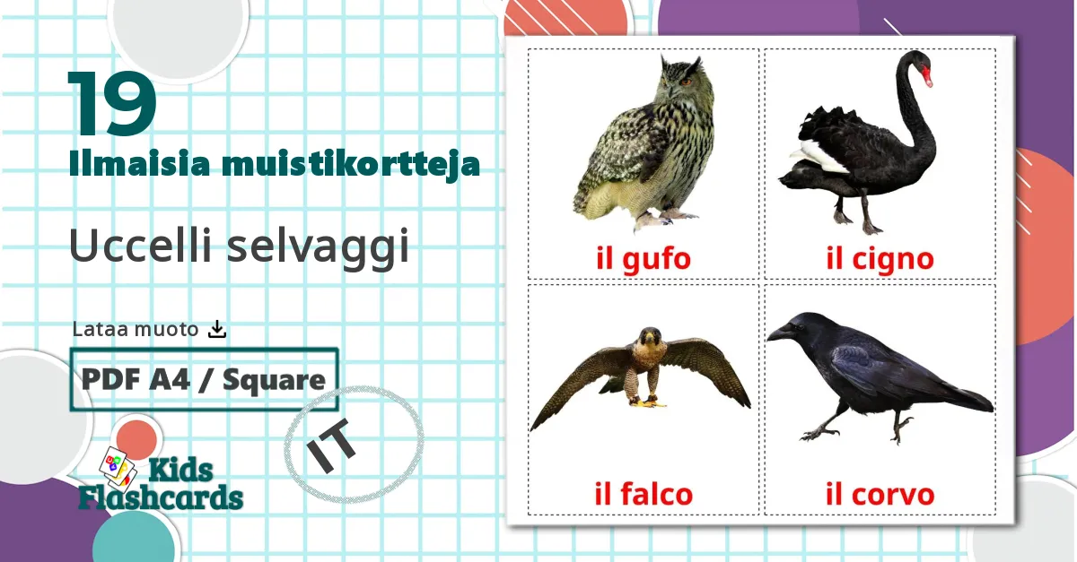 19 Uccelli selvaggi lasten kuvakortit