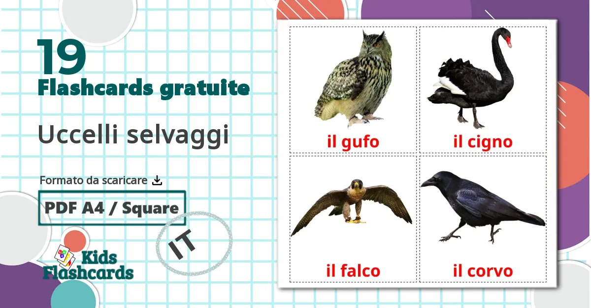 19 flashcards di Uccelli selvaggi