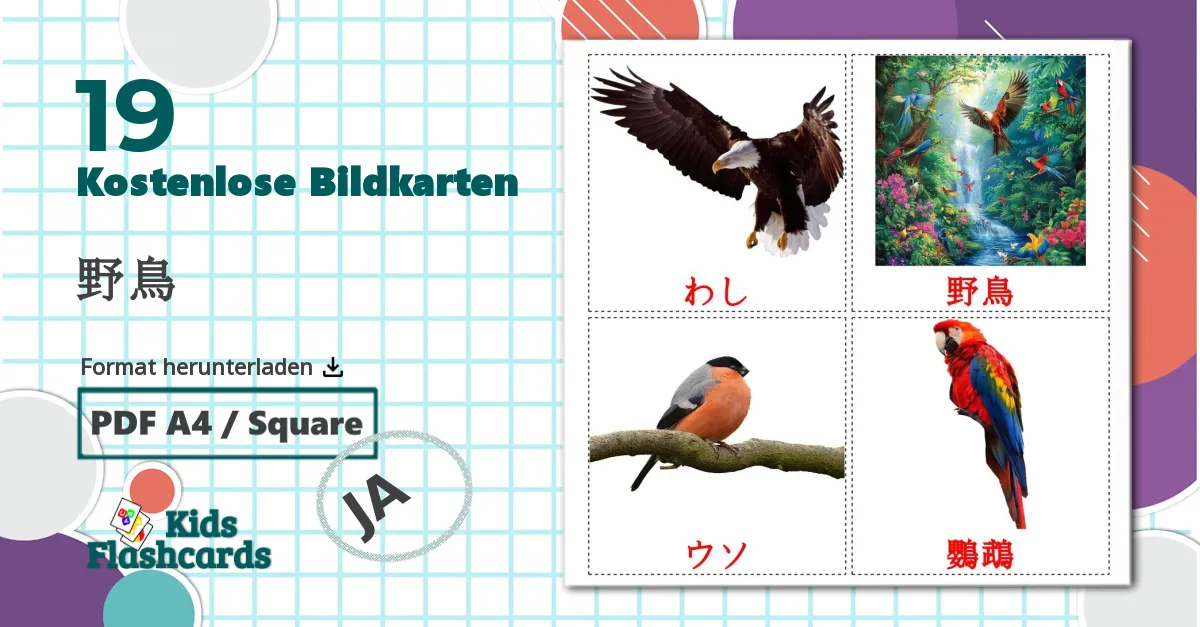 19 Bildkarten für Wildvögel