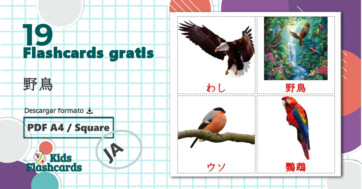 19 tarjetas didacticas de 野鳥