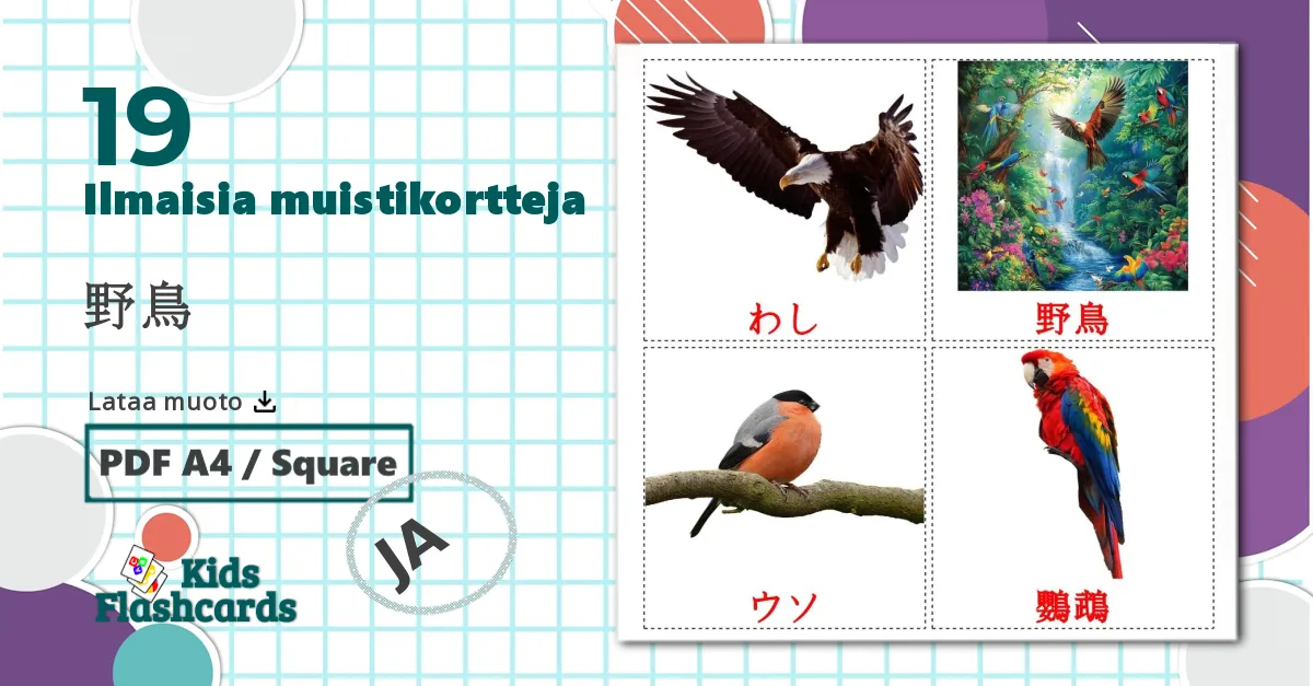 19 野鳥 lasten kuvakortit