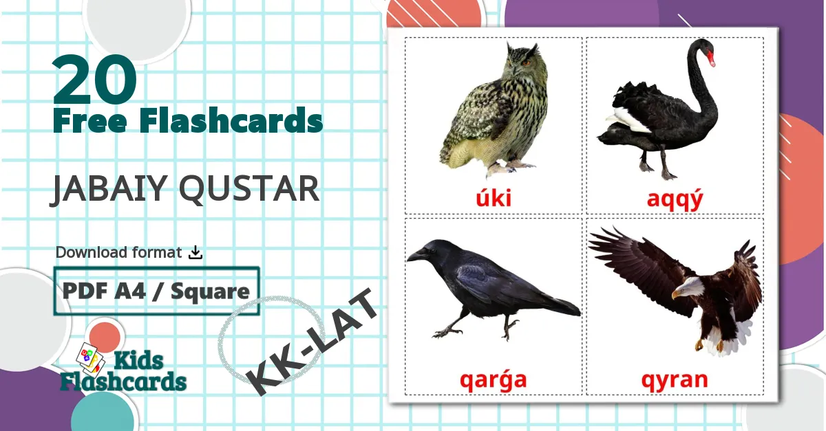 19 Wild birds flashcards