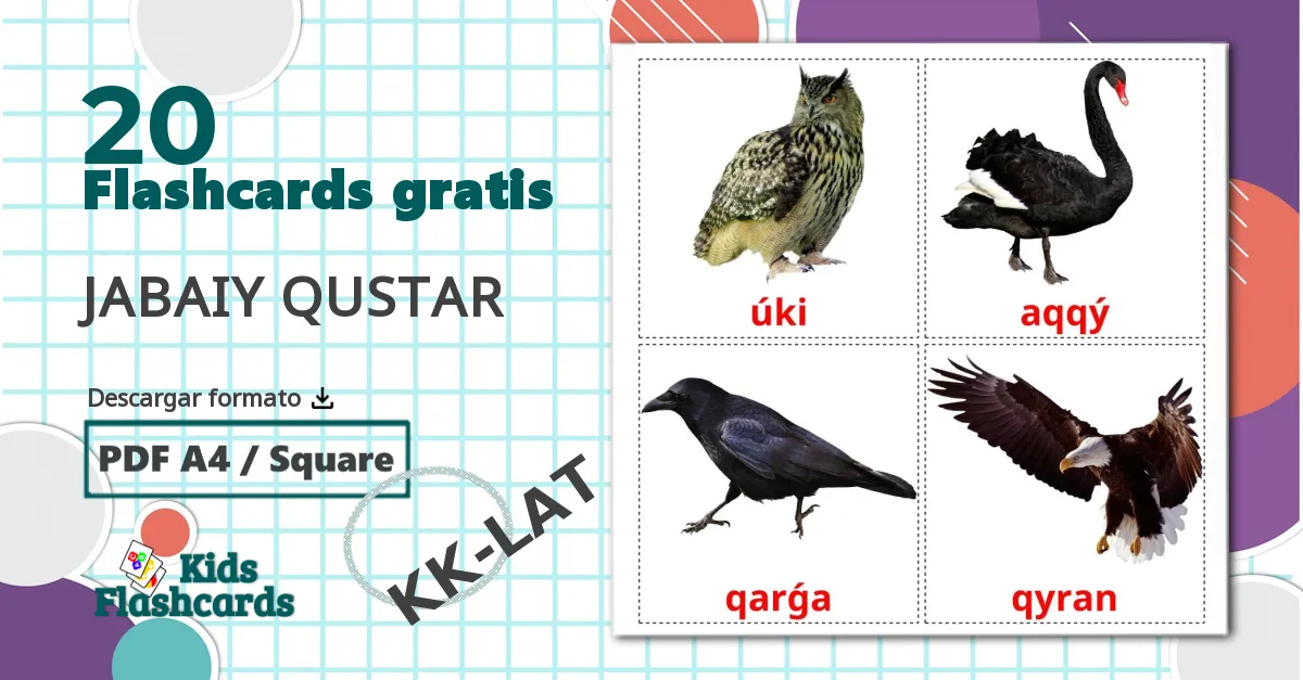 20 tarjetas didacticas de JABAIY QUSTAR