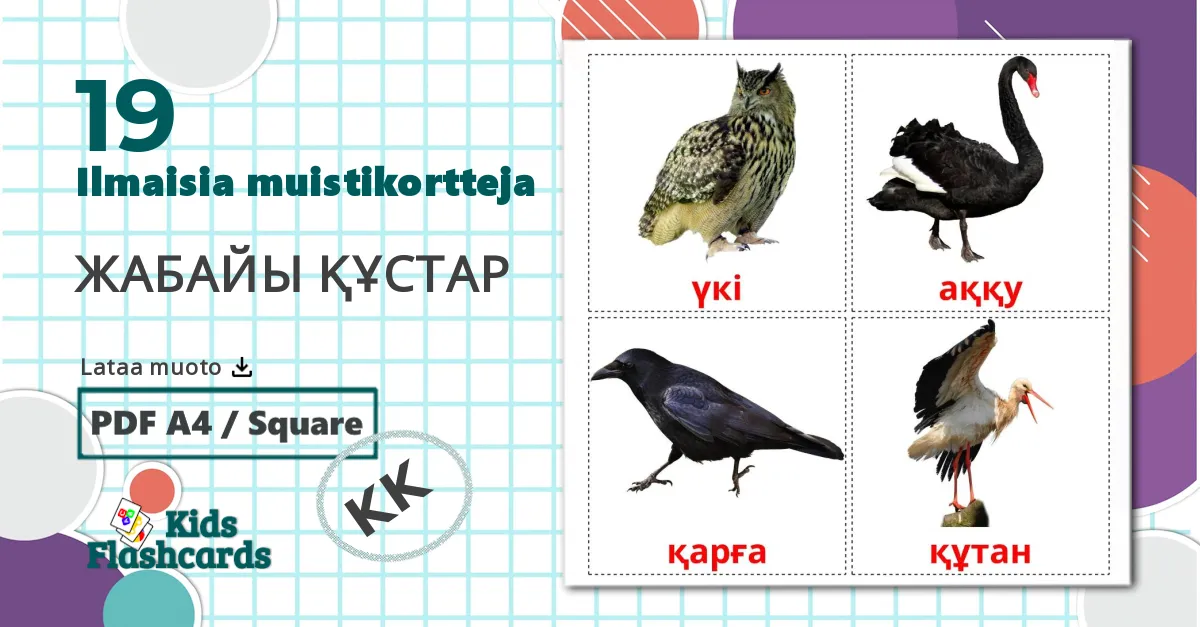 19 ЖАБАЙЫ ҚҰСТАР  lasten kuvakortit
