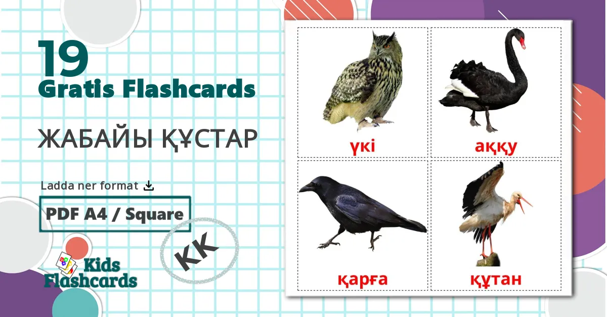 19 ЖАБАЙЫ ҚҰСТАР  bildkort för barn
