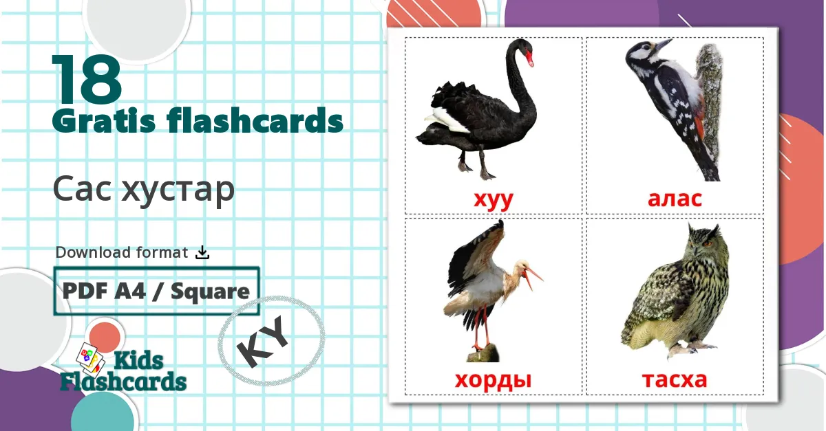 18 Сас хустар billedkort for børn