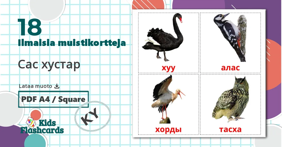18 Сас хустар lasten kuvakortit