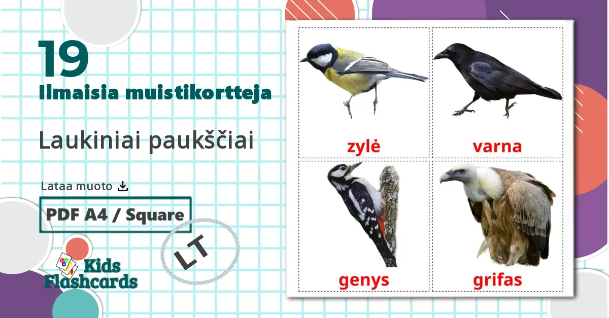 19 Laukiniai paukščiai  lasten kuvakortit