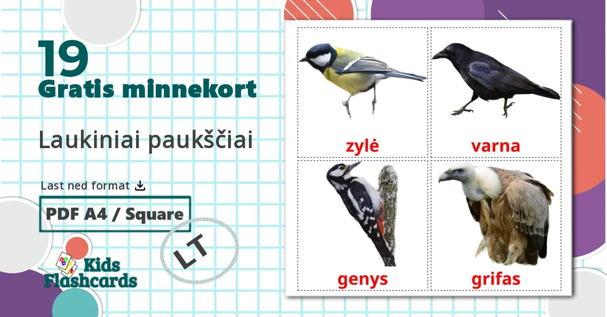 19 Laukiniai paukščiai  bildekort