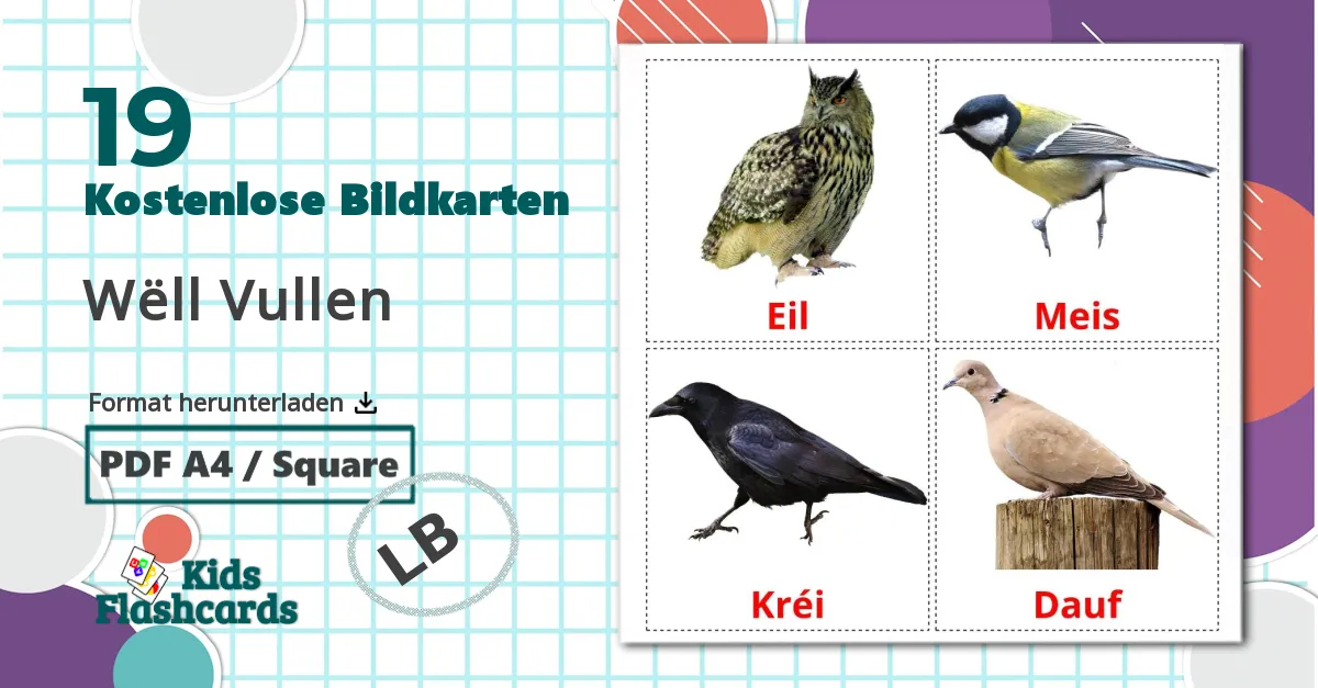 19 Bildkarten für Wëll Vullen