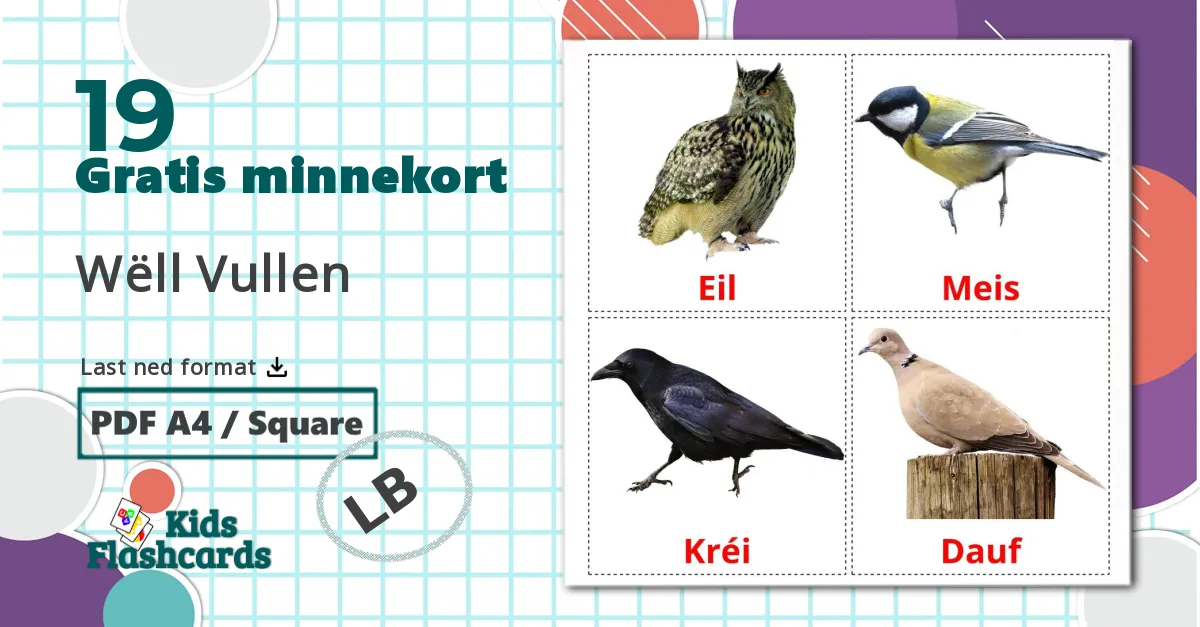19 Ville fugler bildekort