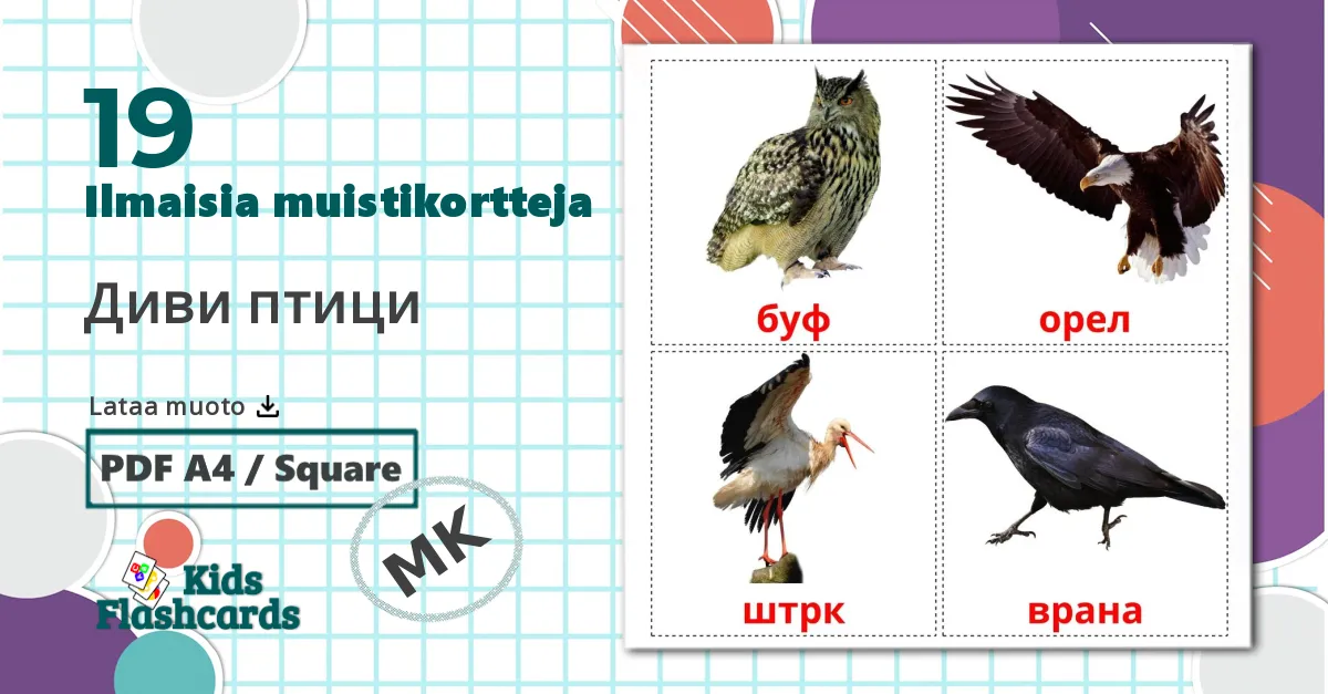 19 Диви птици lasten kuvakortit