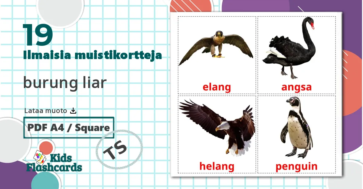 19 burung liar lasten kuvakortit