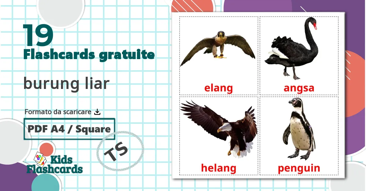 19 flashcards di burung liar