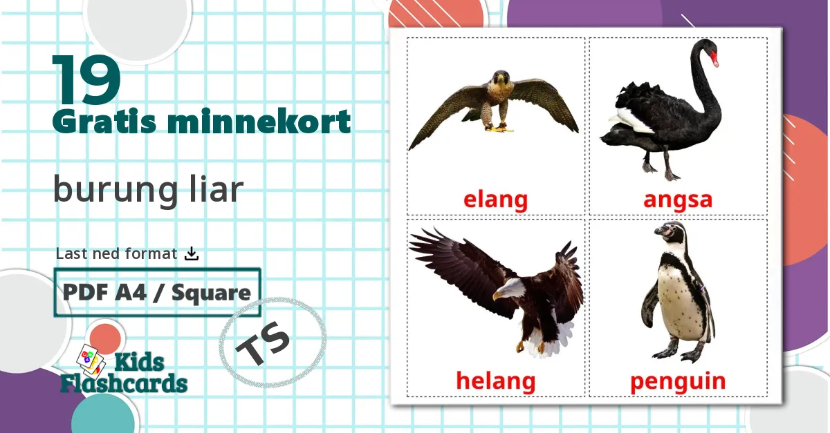19 burung liar bildekort