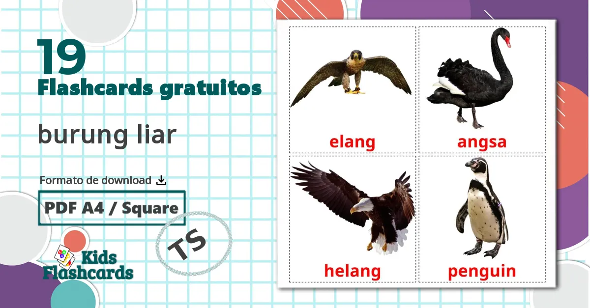 19 Flashcards de burung liar