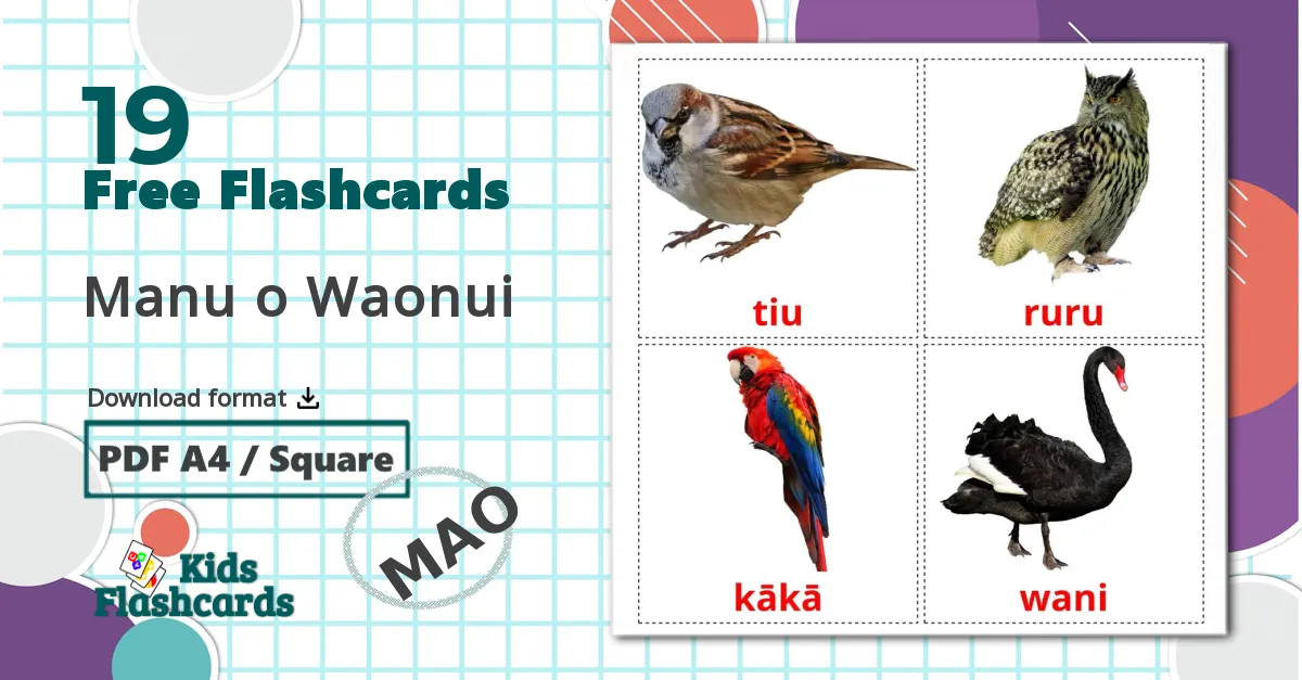 19 Manu o Waonui flashcards