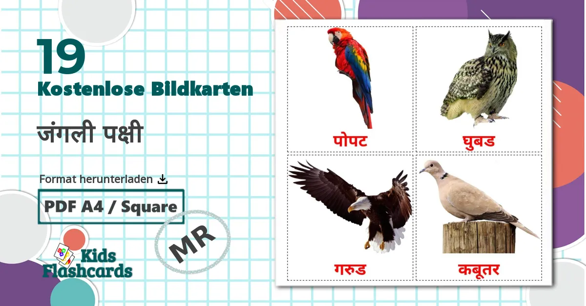 19 Bildkarten für जंगली पक्षी