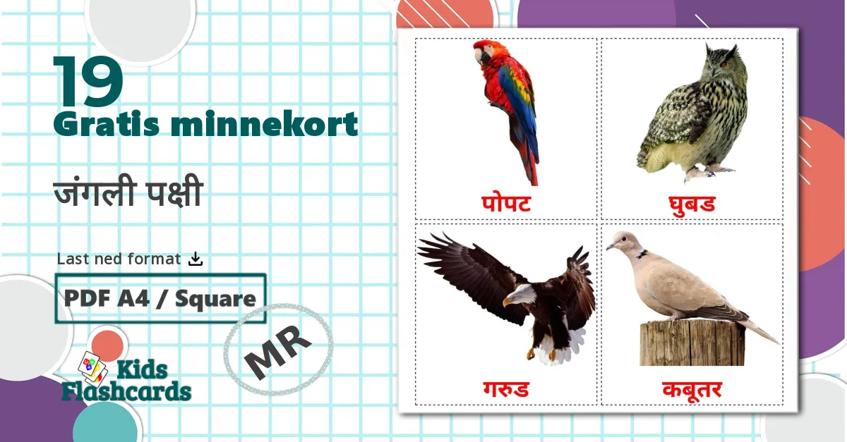 19 जंगली पक्षी bildekort