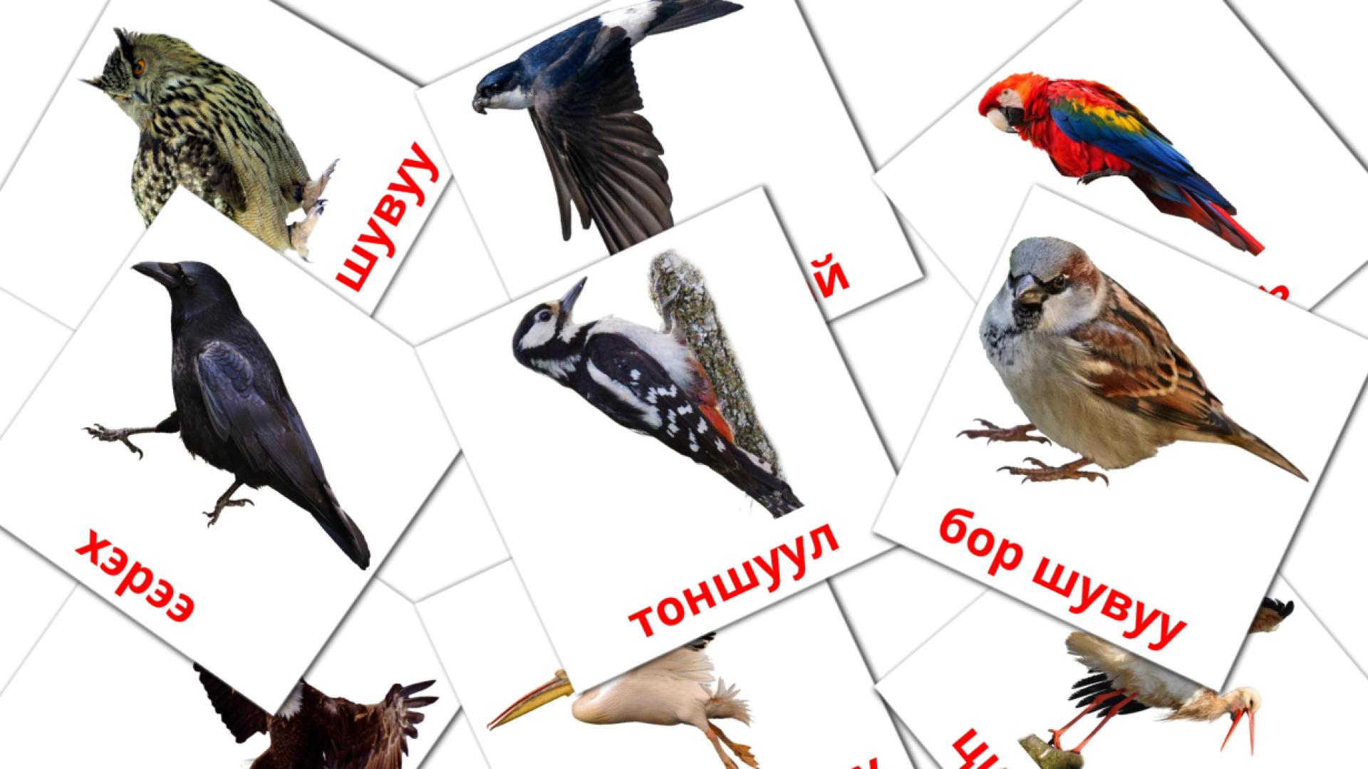 Bildkarten für Зэрлэг шувууд