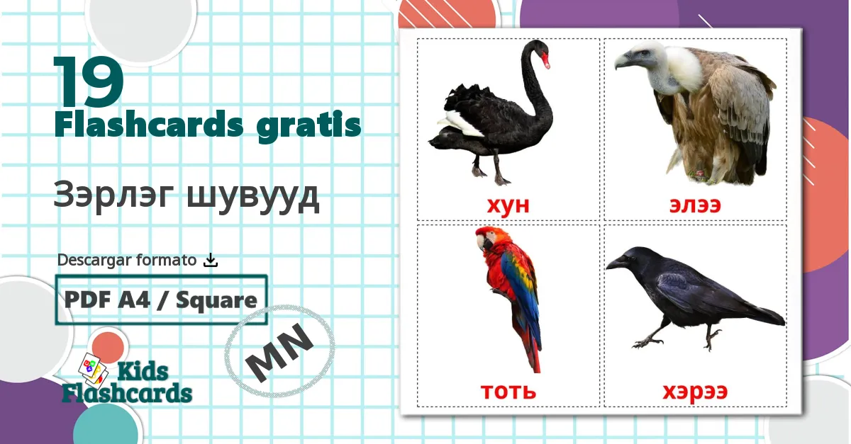 19 tarjetas didacticas de Зэрлэг шувууд