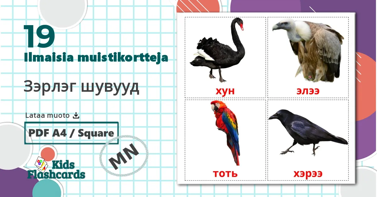 19 Зэрлэг шувууд lasten kuvakortit
