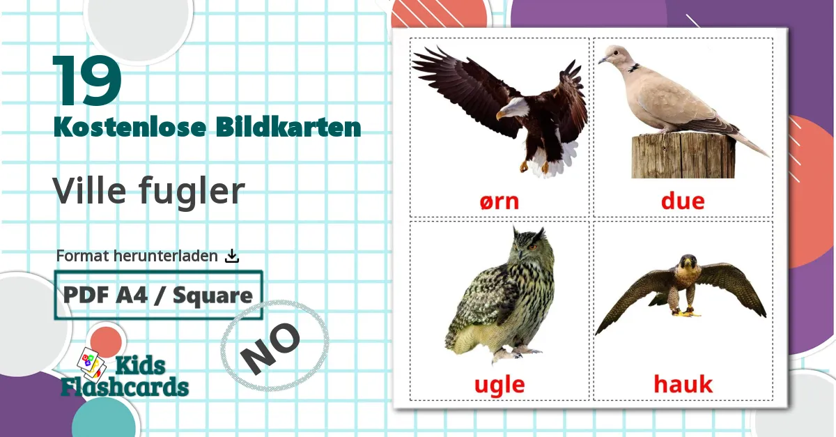 19 Bildkarten für Ville fugler