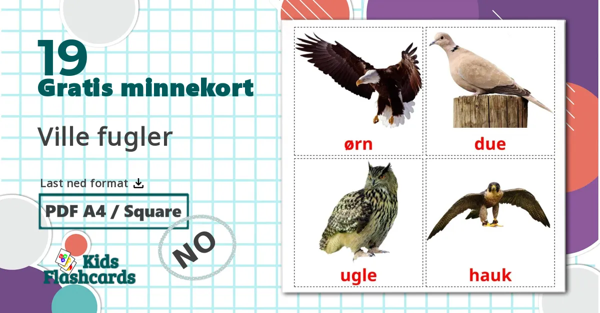 19 Ville fugler bildekort
