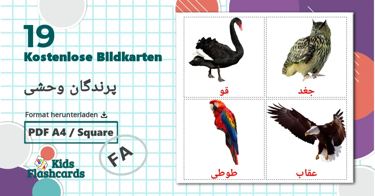 19 Bildkarten für پرندگان وحشی