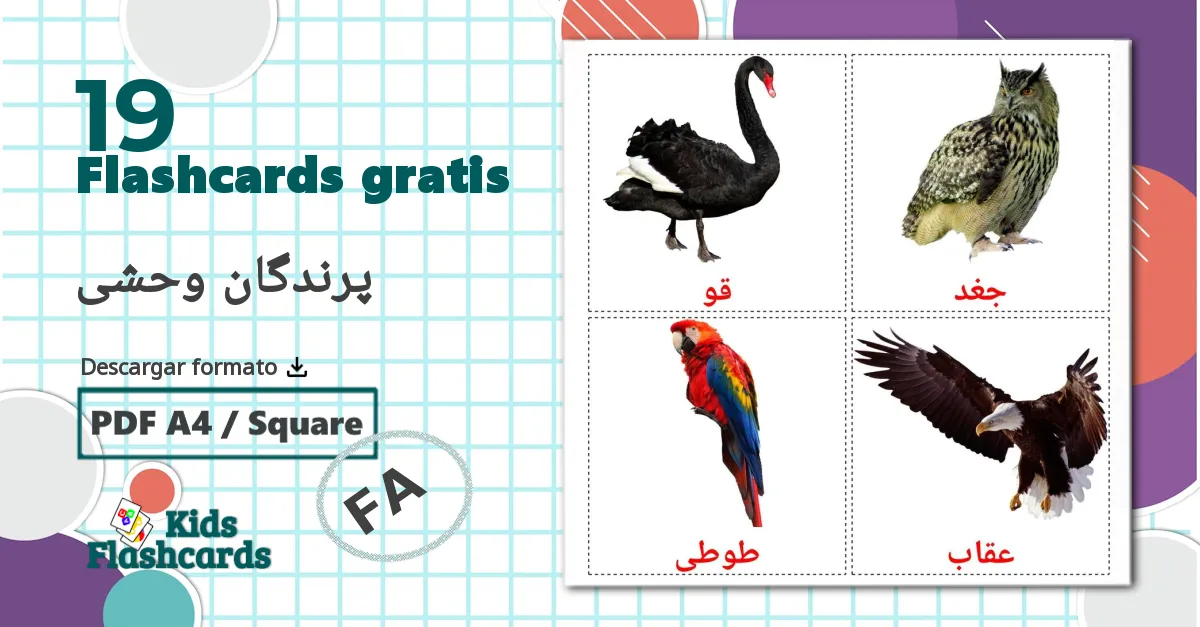 19 tarjetas didacticas de پرندگان وحشی