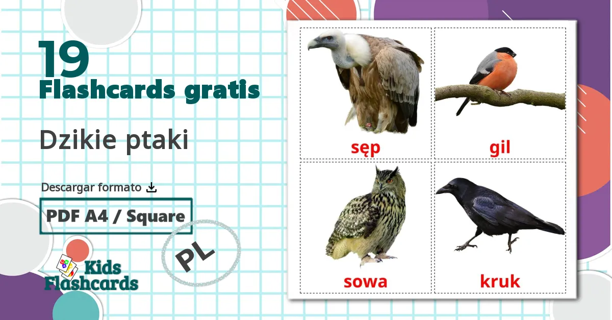 19 tarjetas didacticas de Dzikie ptaki