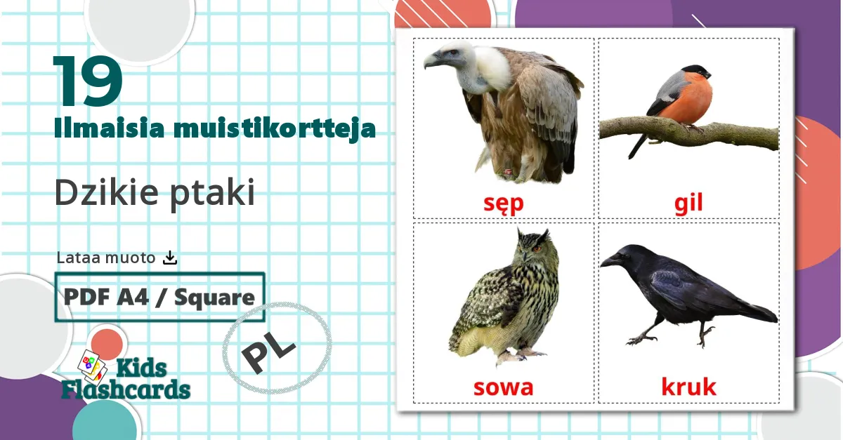 19 Dzikie ptaki lasten kuvakortit