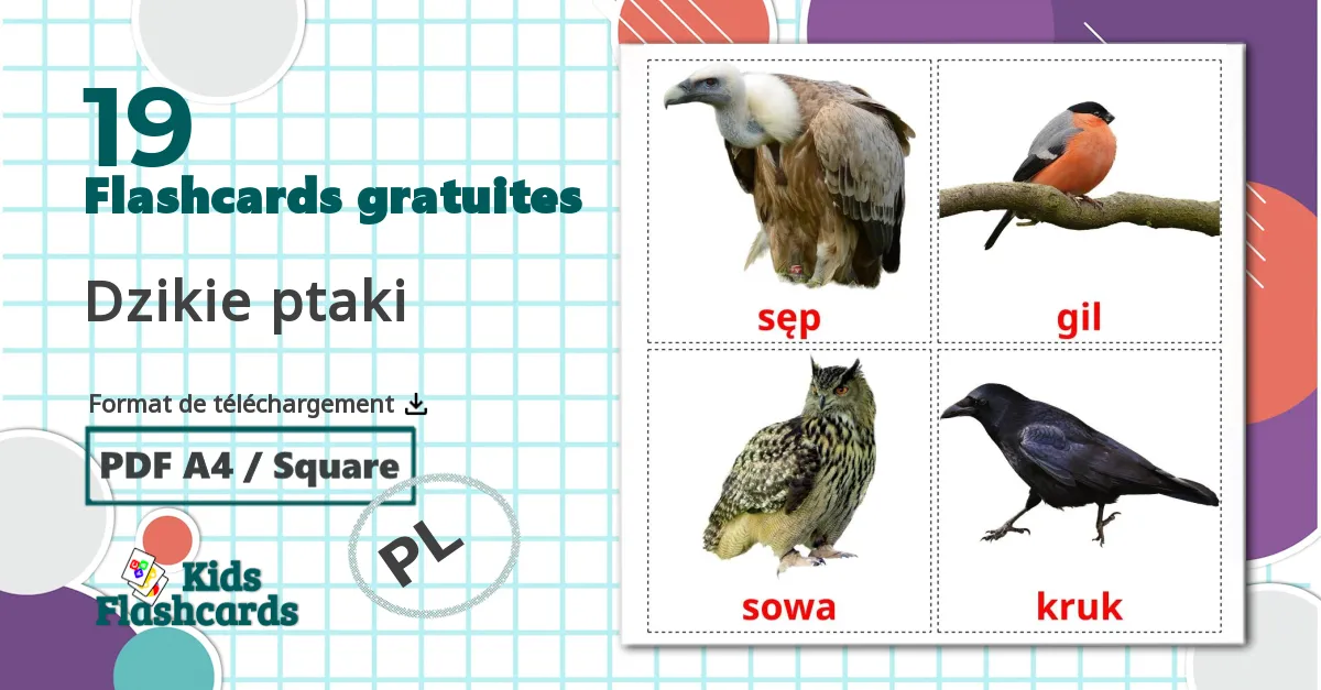 19 Imagiers Les Oiseaux Sauvages