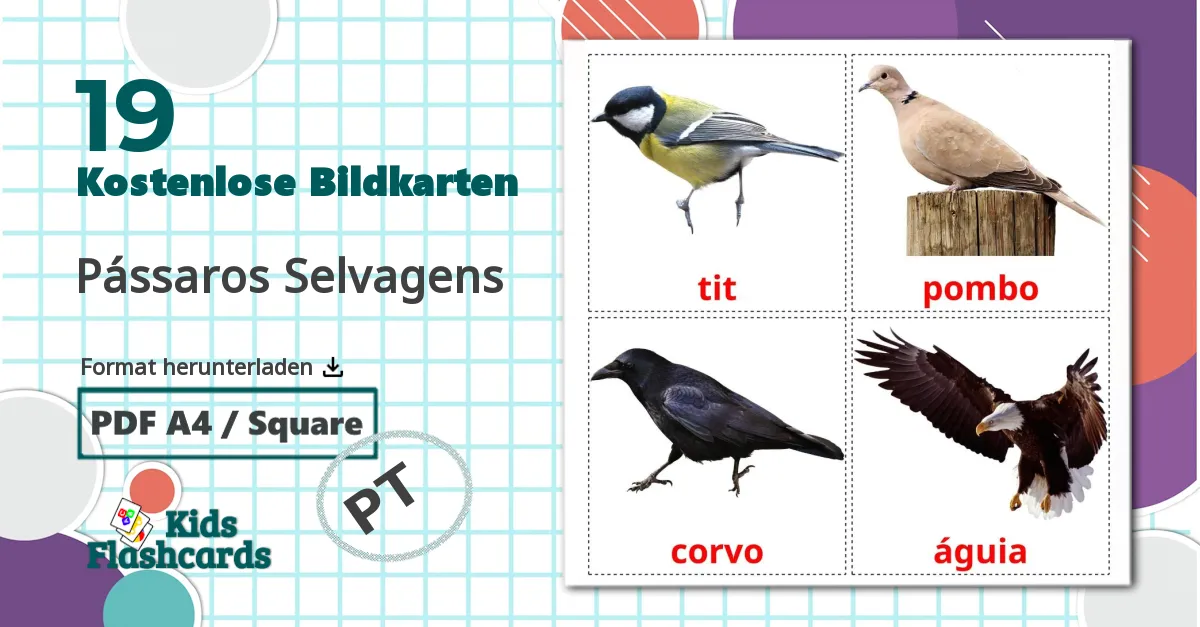 19 Bildkarten für Pássaros Selvagens