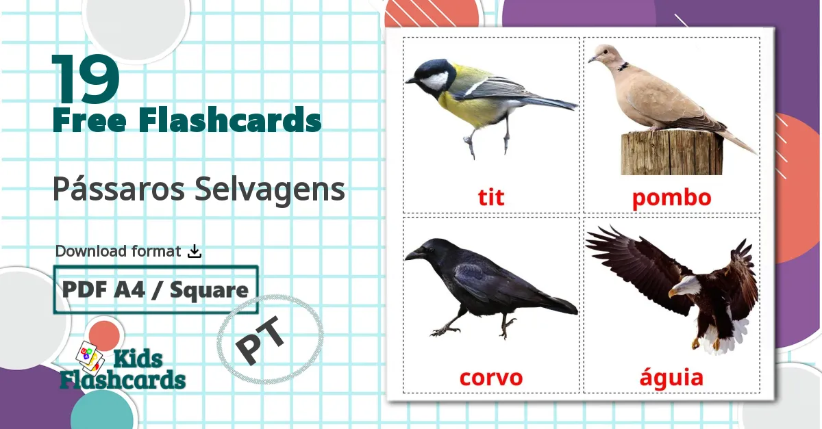 19 Pássaros Selvagens flashcards