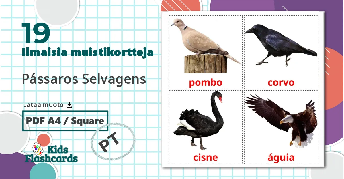 19 Pássaros Selvagens lasten kuvakortit