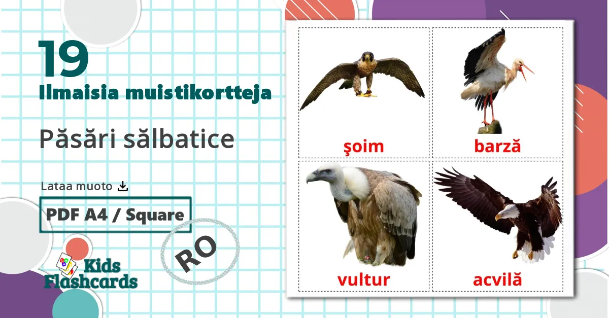 19 Păsări sălbatice  lasten kuvakortit
